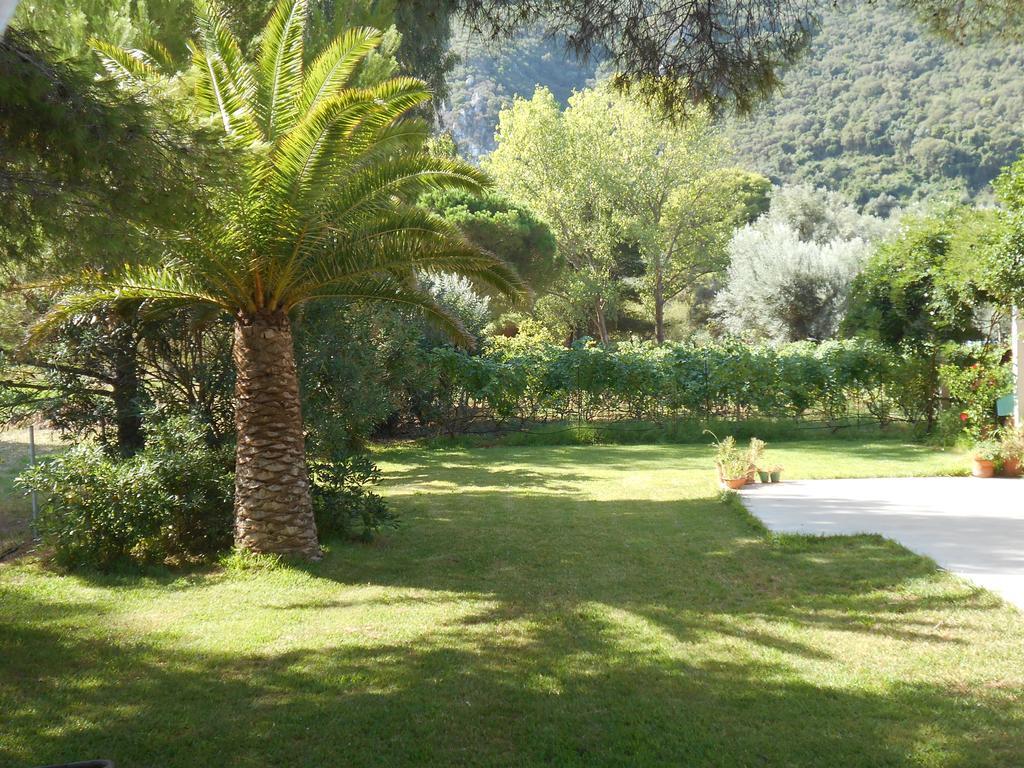 Brunello Seaside Apartments Λευκάδα Εξωτερικό φωτογραφία